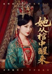 ���ӹ�������