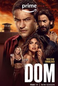 �����ڶ���