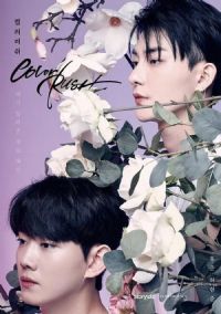 ������֮��2020