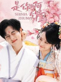 ���㰡����