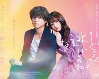 ������Ҳ�Ӳ���